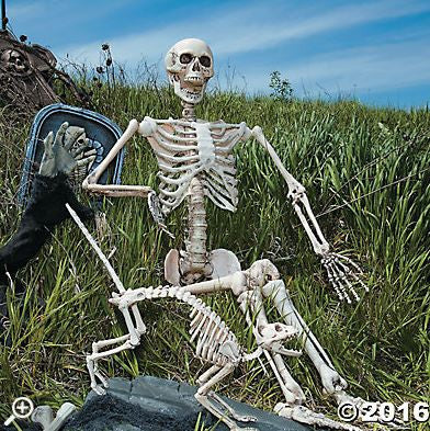 Life Size Posable Skeleton