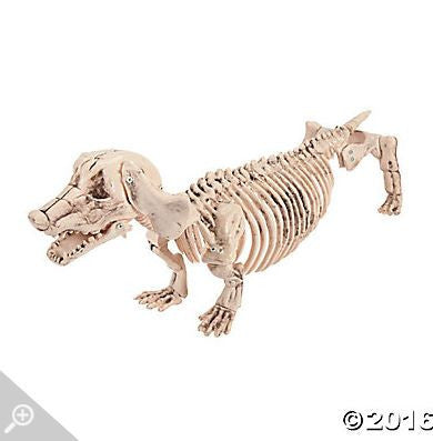 Halloween Dachshund Skeleton